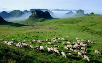 u=3515298709,4015168773&fm=21&gp=0 u=3515298709,4015168773&fm=21&gp=0