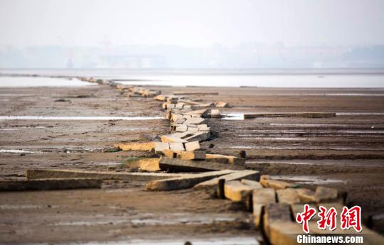 　　“千眼桥”位于鄱阳湖都昌县多宝乡至庐山市的湖床上，曾经是两地民众冬季便捷往来的要道，远处依稀可见城市的轮廓。12月23日摄 傅建斌 摄