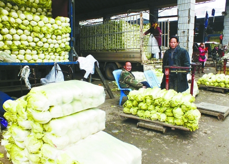 res01_attpic_brief res01_attpic_brief