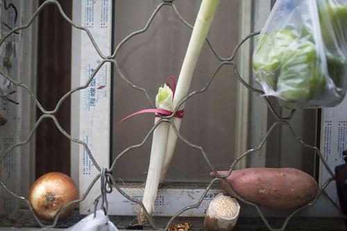 20161228122906_86977f605d45e678da7b43769cce22d5_7 20161228122906_86977f605d45e678da7b43769cce22d5_7