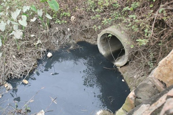 48ddc70ct8b67113b3129&690 48ddc70ct8b67113b3129&690