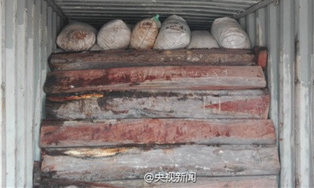 这是目前中国海关查获的最大一起穿山甲鳞片走私案。