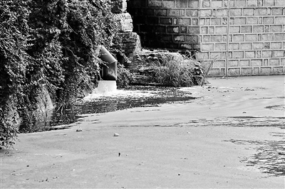 1120216950_14830541696411n 1120216950_14830541696411n