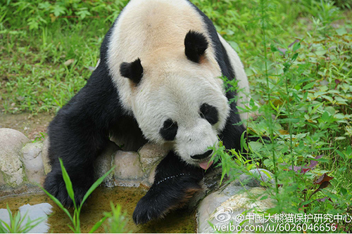 W020161229423001137627 W020161229423001137627