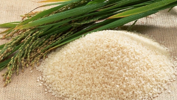 MAIN201612301035595676888490078 MAIN201612301035595676888490078