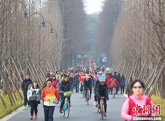 1120232241_14833991006841n 1120232241_14833991006841n