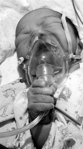 2017010302114194298 2017010302114194298