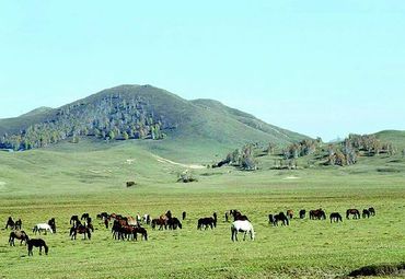 4944f4cabf4728c39f422fe510c654ba_w370_h255_c1_t0 4944f4cabf4728c39f422fe510c654ba_w370_h255_c1_t0