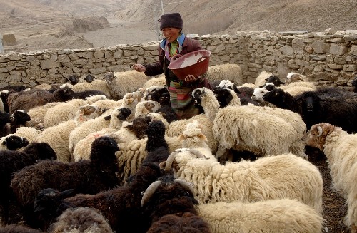 00123f37ba2b078c78ac02 00123f37ba2b078c78ac02