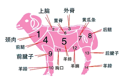 8774916751888129025 8774916751888129025