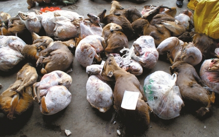 129431159_14834857904801n 129431159_14834857904801n