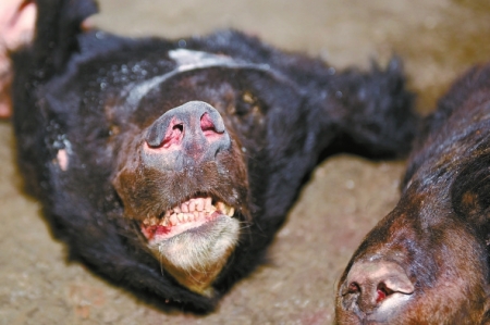 129431159_14834857905501n 129431159_14834857905501n