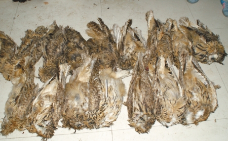 129431159_14834857906601n 129431159_14834857906601n