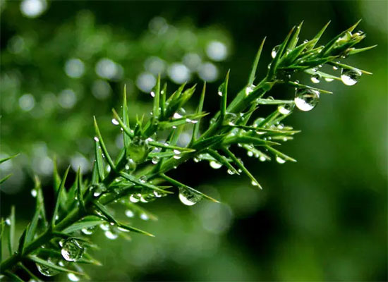 f44d305ea09b19d6927135 f44d305ea09b19d6927135