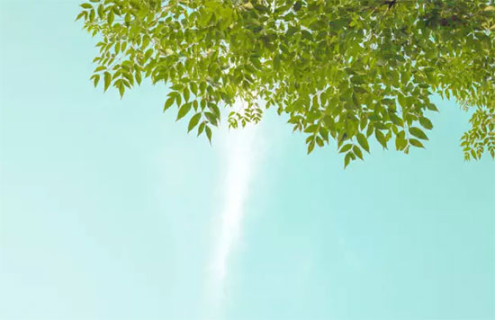 f44d305ea09b19d6927136 f44d305ea09b19d6927136