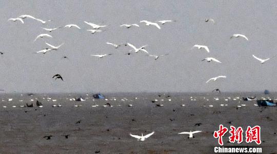 c98fe3f871bf40538fc3b60482ed0be0 c98fe3f871bf40538fc3b60482ed0be0