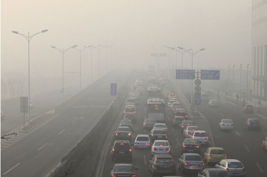 5_120110172844_1 5_120110172844_1