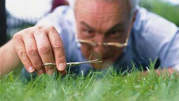 MAIN201701041101364767789922797 MAIN201701041101364767789922797