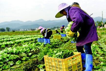 QQ截图20170106153552 QQ截图20170106153552