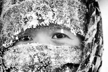 12734052_433661 12734052_433661