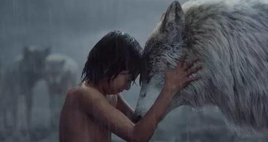 1460851297013412 1460851297013412