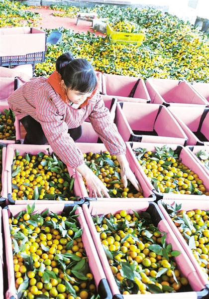 W020170109270255429367 W020170109270255429367