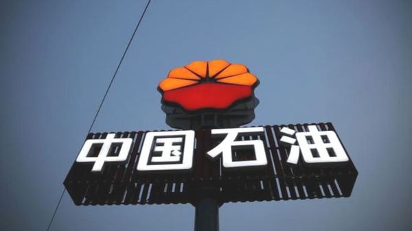 14587892294502 14587892294502