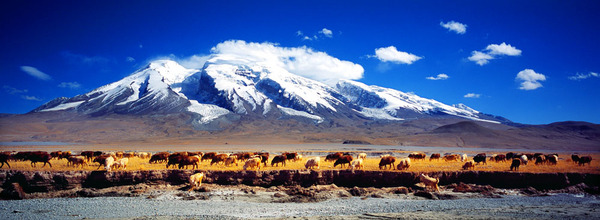 34_1514137434_20100323162553 34_1514137434_20100323162553