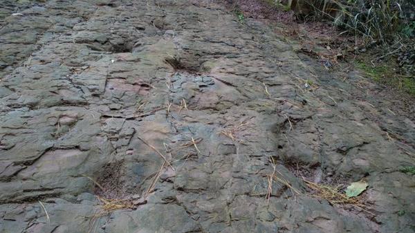 W020170106747674074088 W020170106747674074088