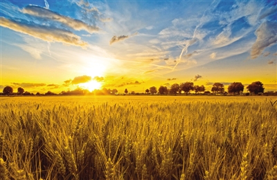 1120284813_14840909201911n 1120284813_14840909201911n