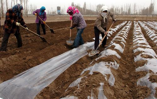 0011431e80bc0d0ec41103 0011431e80bc0d0ec41103