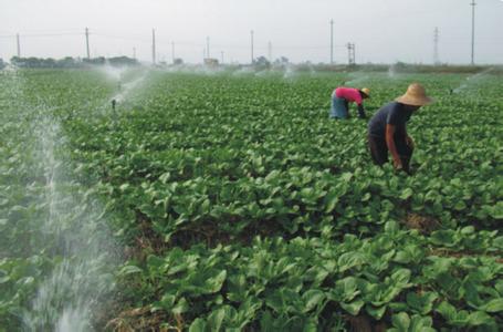 u=667650113,2077621638&fm=23&gp=0 u=667650113,2077621638&fm=23&gp=0