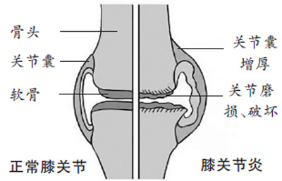 1484506388289_1 1484506388289_1