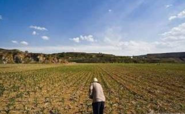 QQ截图20170117160418 QQ截图20170117160418