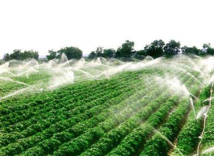 农业现代化 农业现代化