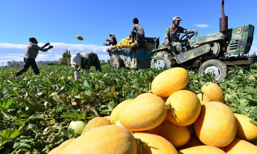 QQ截图20170118170112 QQ截图20170118170112