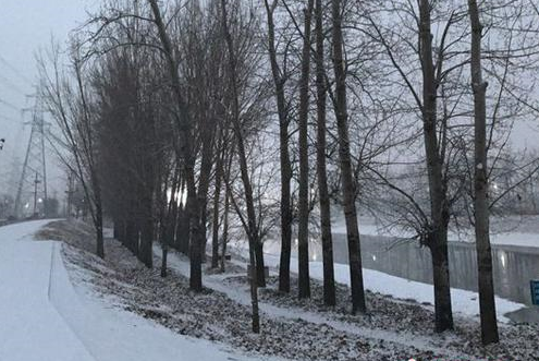 QQ截图20170119113344 QQ截图20170119113344