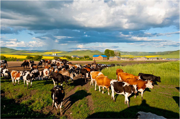 1129840556517392762 1129840556517392762