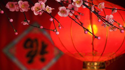 164207st8vh8xxxxti0git 164207st8vh8xxxxti0git