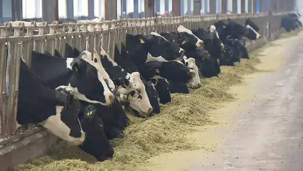 64a4946e304a4a1188a9991fd973893e_th 64a4946e304a4a1188a9991fd973893e_th