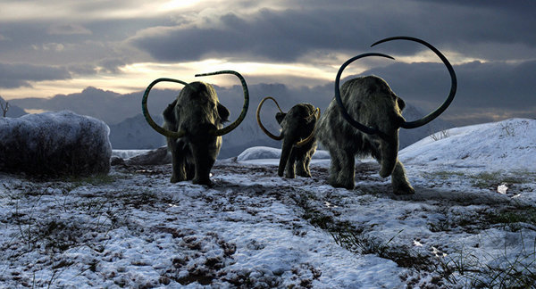 2-1F119155421516 2-1F119155421516