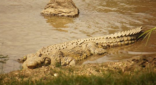 QQ图片20170120172921 QQ图片20170120172921