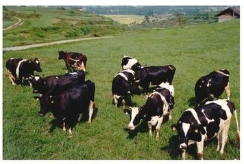 t010206024da29a9411 t010206024da29a9411