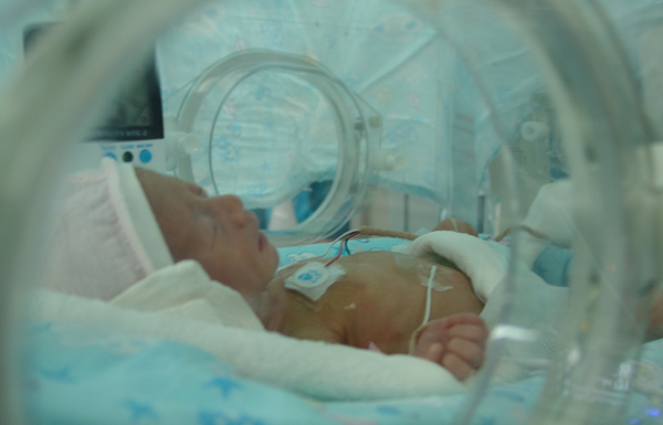 QQ截图20170122111219 QQ截图20170122111219