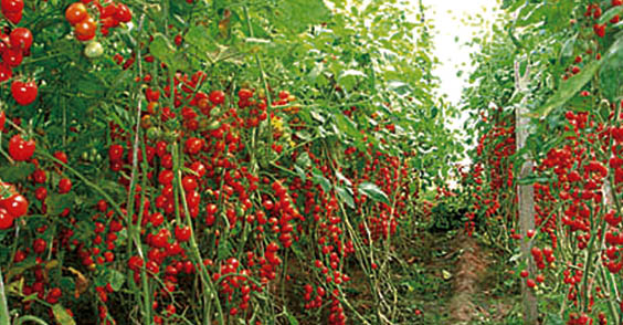 W020140320610168669559 W020140320610168669559