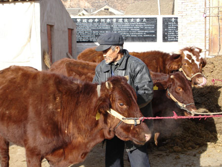 xin_390103090952296220523 xin_390103090952296220523