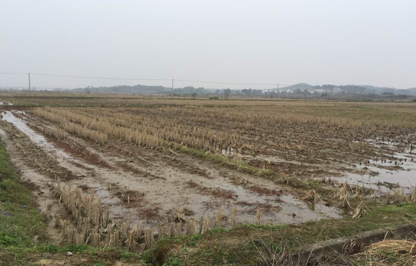 QQ截图20170122171939 QQ截图20170122171939