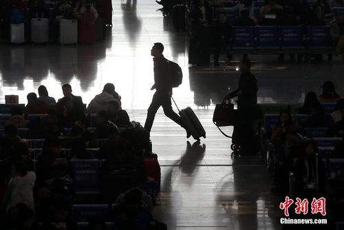 1120364978_14851276206791n 1120364978_14851276206791n