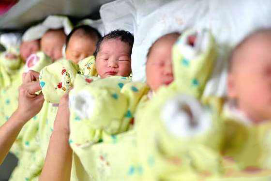 山东成“最敢生”省份 山东成“最敢生”省份