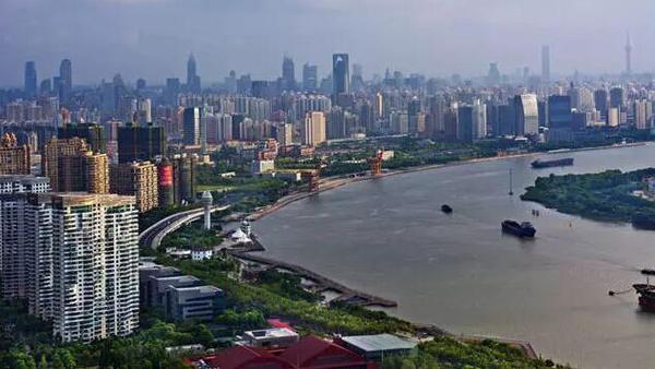 3776819771 3776819771